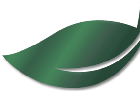 ASE Leaf